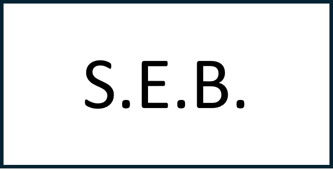 S.E.B. 50x25 White Traffolyte
