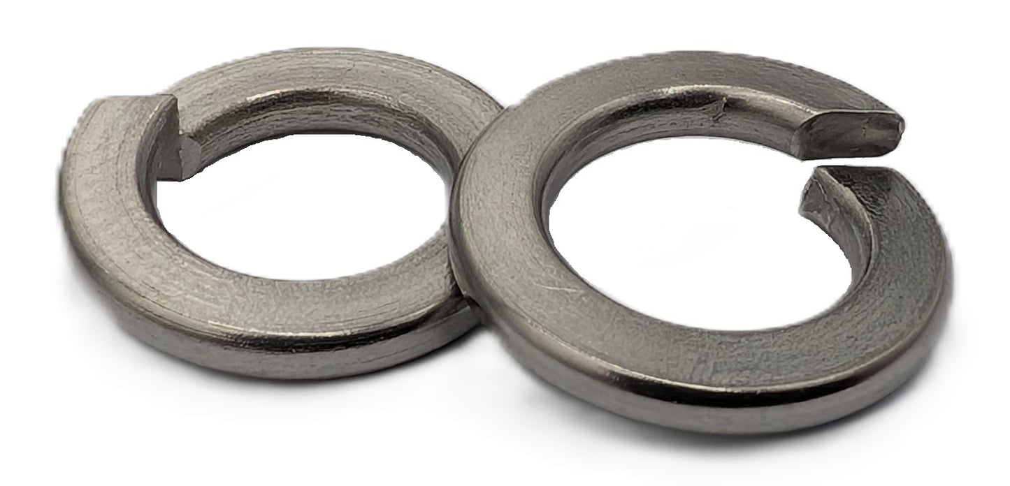Spring Washer SS316 M10 100PK