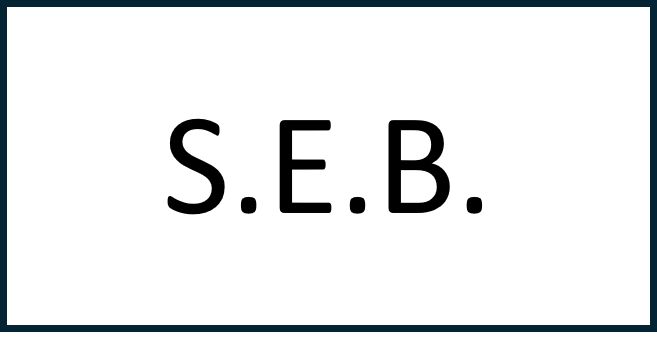 S.E.B. 50x25 White Traffolyte