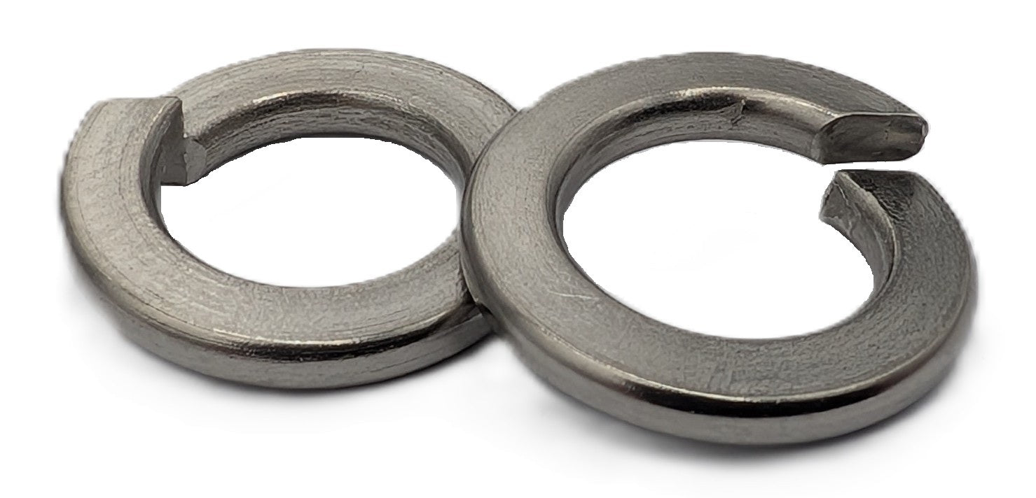 Spring Washer SS316 M10 100PK